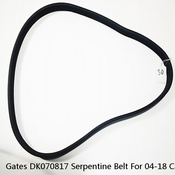 Gates DK070817 Serpentine Belt For 04-18 Cayenne Q7 Touareg