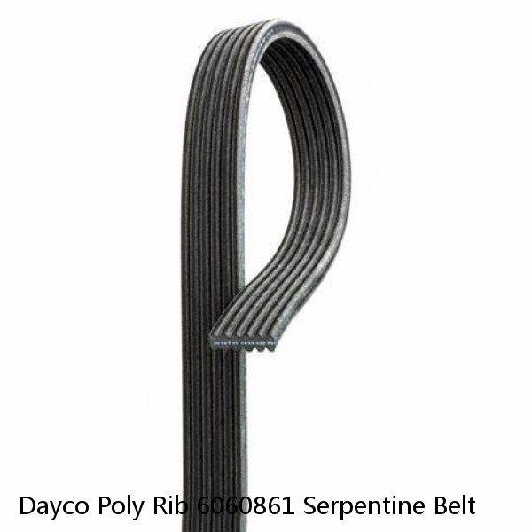 Dayco Poly Rib 6060861 Serpentine Belt