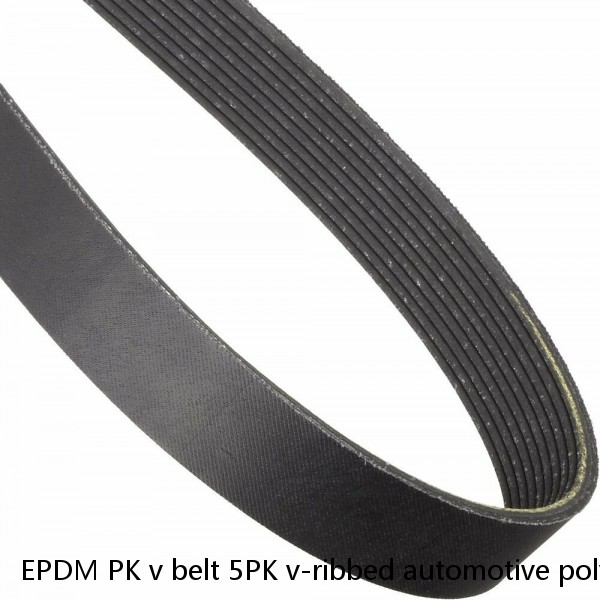 EPDM PK v belt 5PK v-ribbed automotive poly v belt