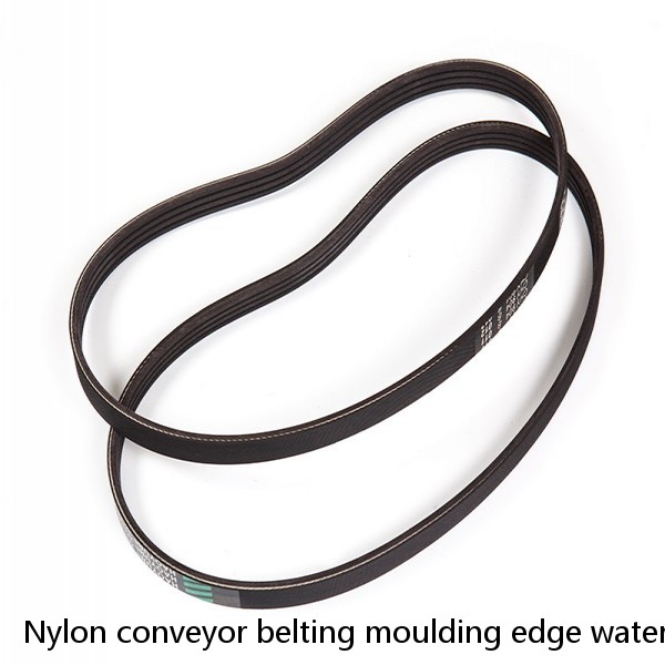 Nylon conveyor belting moulding edge waterproof 5mm height rubber V shape chevron conveyor belt