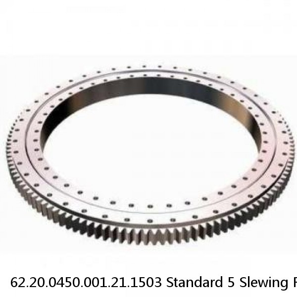 62.20.0450.001.21.1503 Standard 5 Slewing Ring Bearings