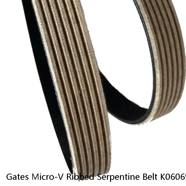 Gates Micro-V Ribbed Serpentine Belt K060695 6PK1763