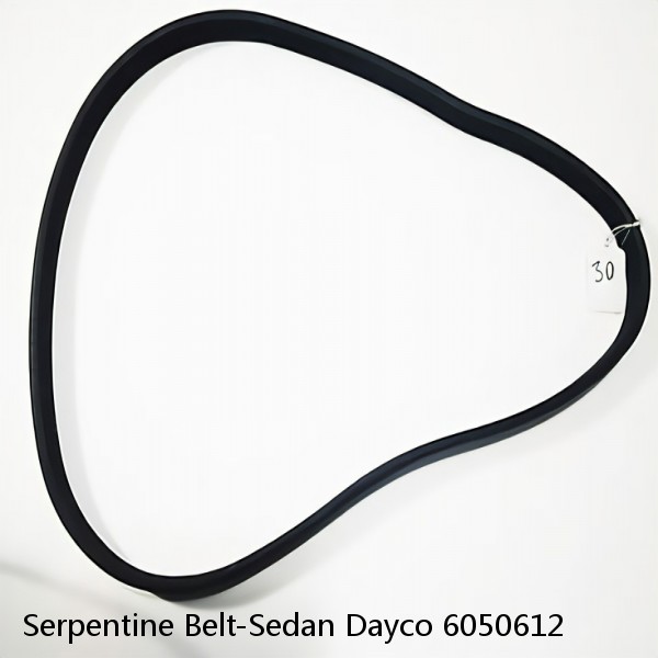 Serpentine Belt-Sedan Dayco 6050612