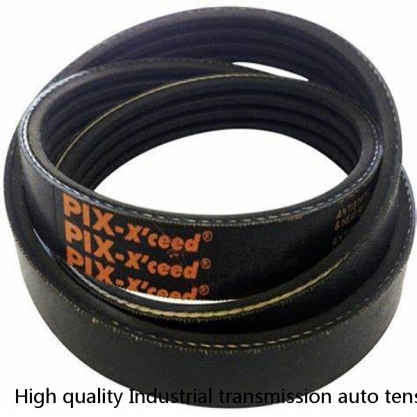 High quality Industrial transmission auto tension bearing unit poly rubber pulley v belt